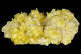 Lustrous Sulfur Crystals on Sparkling Calcite - Poland #175410-2